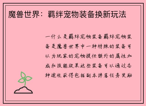 魔兽世界：羁绊宠物装备换新玩法