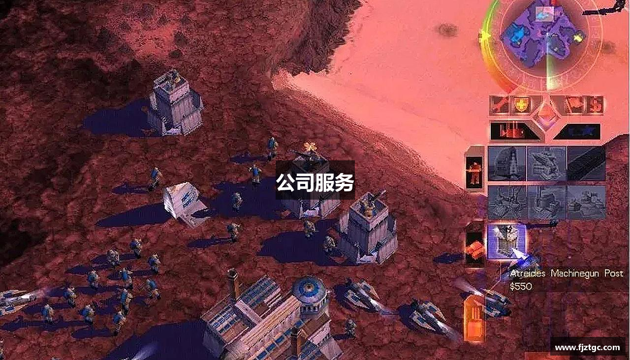 公司服务